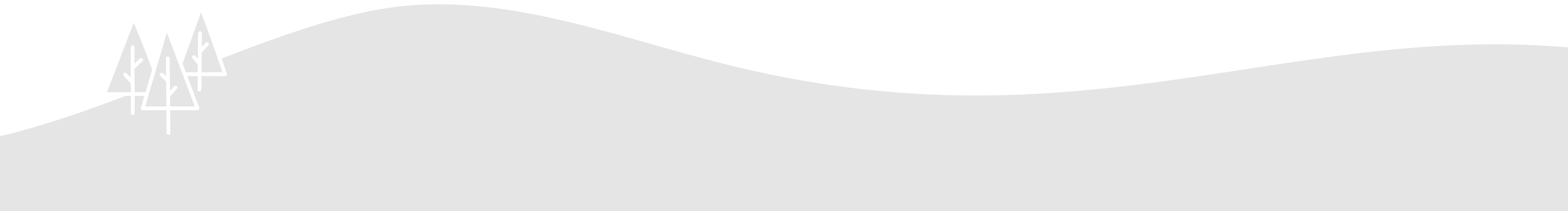 Landscape with trees