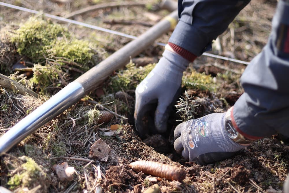 Guided Tour through the Moravian Forest