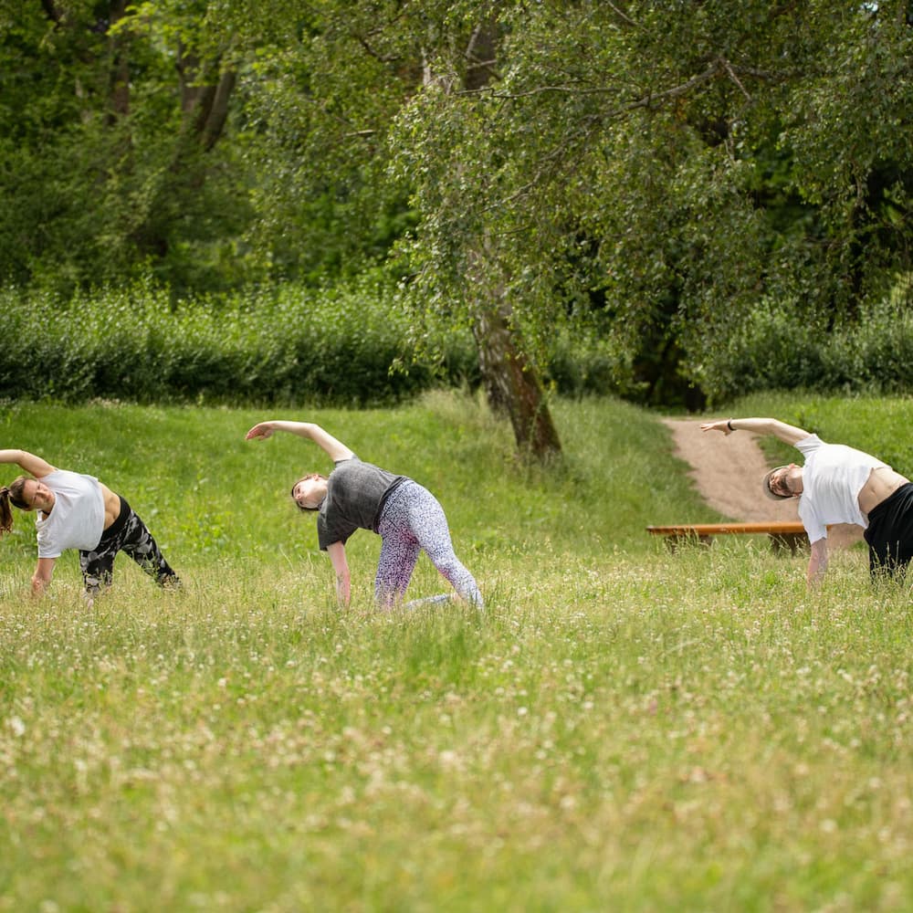 Morning Glory - start the day with yoga